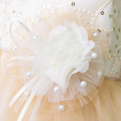 Vestido Dorado de Fiesta para Bebé Niña con Moño Grande | Gerat